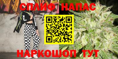 ГАЛЛЮЦИНОГЕННЫЕ ГРИБЫ Гусев
