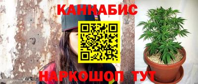 ГАЛЛЮЦИНОГЕННЫЕ ГРИБЫ Гусев