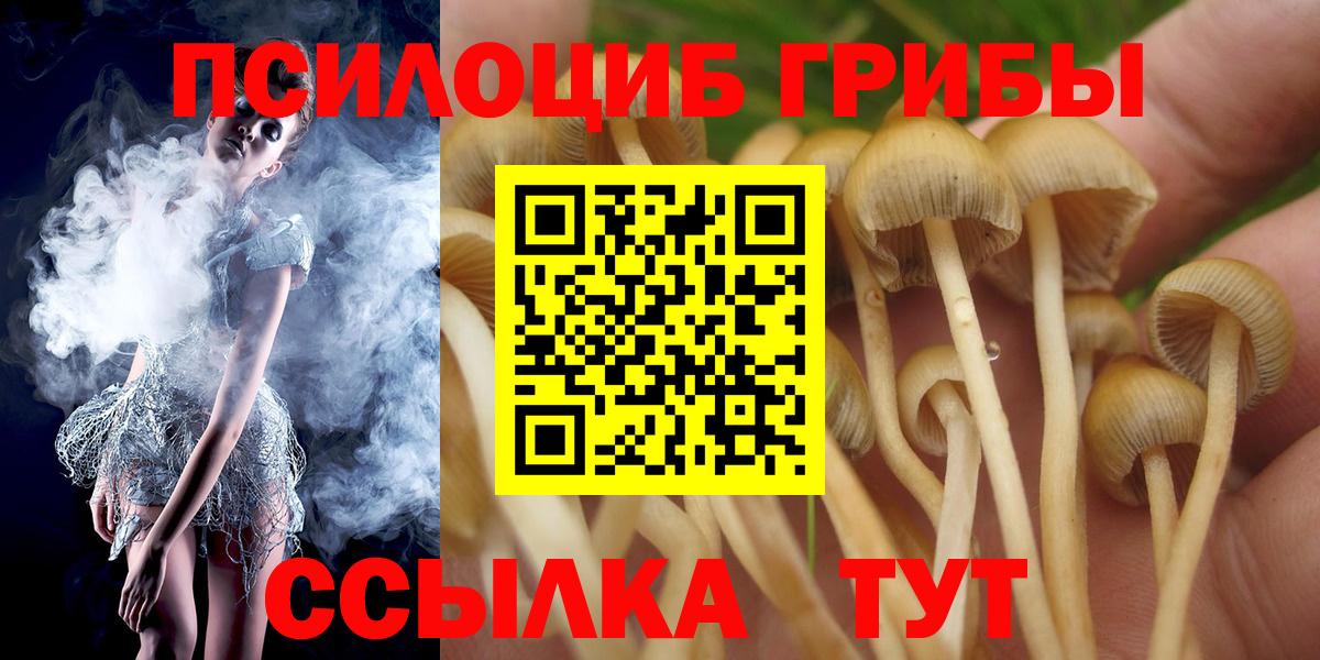 Псилоцибиновые грибы MAGIC MUSHROOMS  Вход с VPN  Псилоцибиновые грибы GOLDEN TEACHER  Миасс 